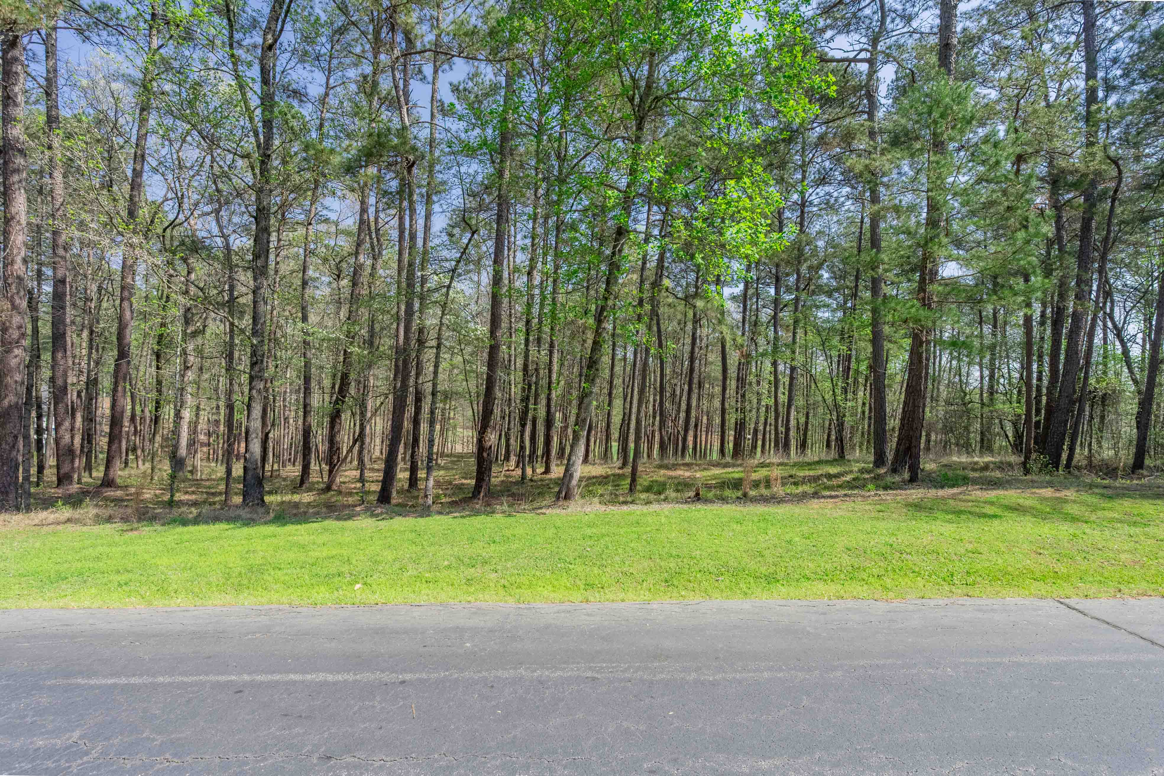 1190 Callahan's Ridge Road image 2